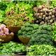 Illustration for article titled ABC of Nutrition - F